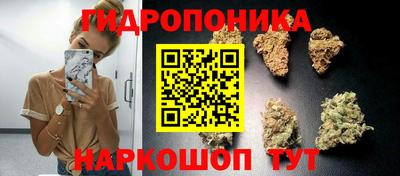 PSILOCYBIN Гуково