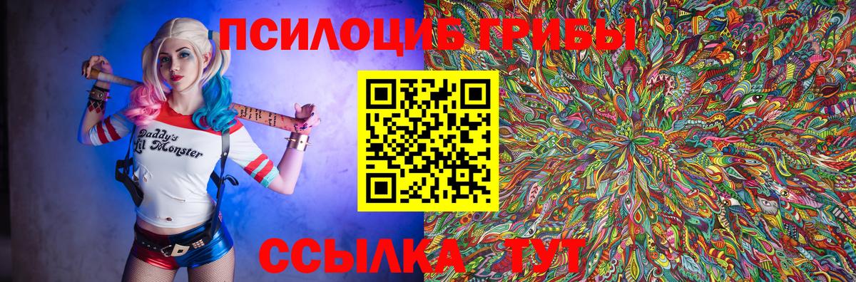 Котлас  Псилоцибиновые грибы ЛСД  Вход с VPN  Галлюциногенные грибы Psilocybine cubensis 