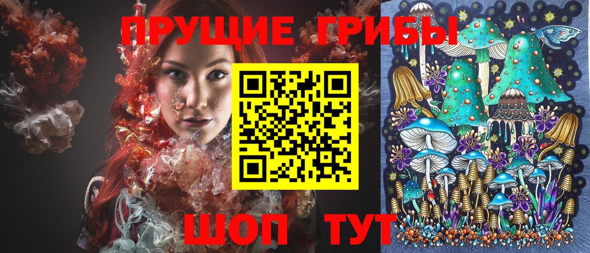 Галлюциногенные грибы Cubensis Котлас
